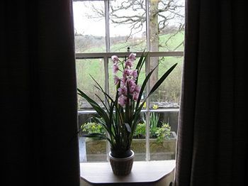 Pen Mill Hotel Yeovil Bagian luar foto